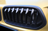 For BMW X2 F39 2020-2021 Matte Black Front Bumper Center Hood Grill Mesh 2PCS